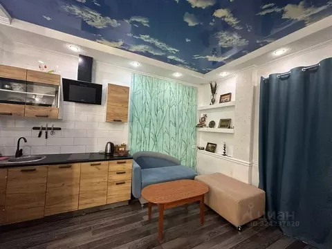 Студия Севастополь с. Орловка, ш. Качинское, 35А (23.0 м)