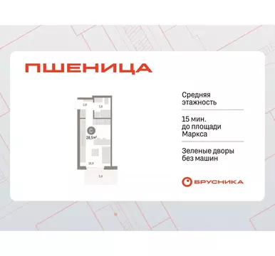 Студия Новосибирская область, Новосибирский район, Краснообск рп, 3-й ...