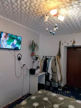 Комната Московская область, Электросталь ул. Сталеваров, 19 (12.0 м)