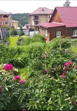 Дом в Иркутская область, Иркутский муниципальный округ, Маркова рп, ...