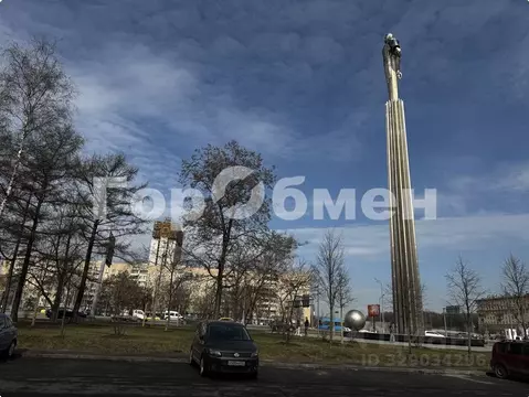 Студия Москва Ленинский просп., 39/1 (12.5 м)