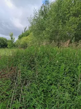 Участок в Московская область, Орехово-Зуевский городской округ, д. ...