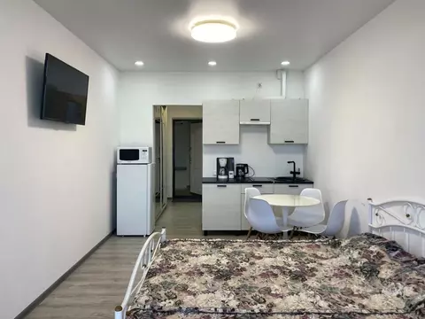 Студия Севастополь ш. Фиолентовское, 134к6 (27.0 м)