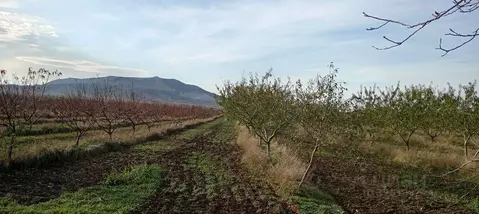 Участок в Крым, Кировский район, Первомайское с/пос, с. Изюмовка ул. ...