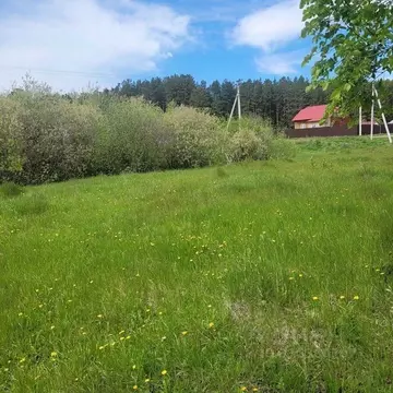 Участок в Курганская область, Кетовский муниципальный округ, с. ...