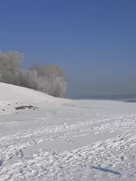 Участок в Алтайский край, Советский район, с. Урожайное Комсомольская ...