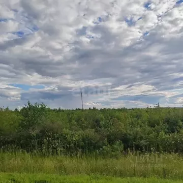 Участок в Амурская область, Благовещенский район, Станичное тер.  (8.6 ...