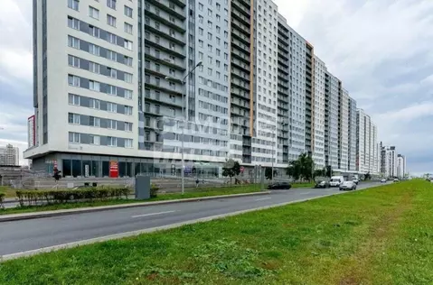 Студия Санкт-Петербург ул. Маршала Казакова, 70к1 (25.0 м)