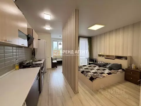 Студия Белгородская область, Белгород ул. Семейная, 19 (30.4 м)