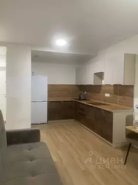 1-к кв. Нижегородская область, Нижний Новгород д. Утечино, ул. ...