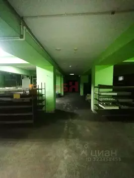 Производственное помещение в Пензенская область, Пенза ул. Гагарина ...