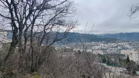 Участок в Крым, Ялта муниципальный округ, Виноградное пгт ул. Лесная, ...