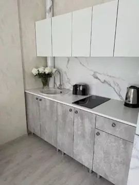 Студия Воронежская область, Воронеж Ростовская ул., 73Дк2 (23.8 м)