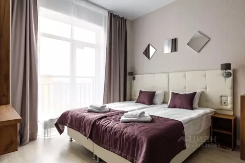 Студия Санкт-Петербург Пулковское ш., 14Е (25.0 м)