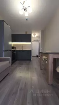 1-к кв. Санкт-Петербург пос. Парголово, дор. Михайловская, 6 (35.8 м)