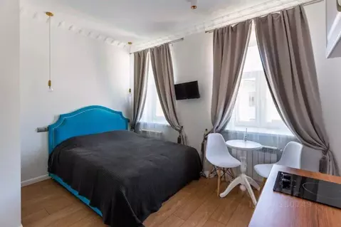 1-к кв. Санкт-Петербург Вознесенский просп., 2 (17.0 м)