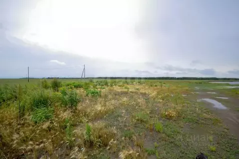 Участок в Сахалинская область, Анивский городской округ, с. Песчанское ...