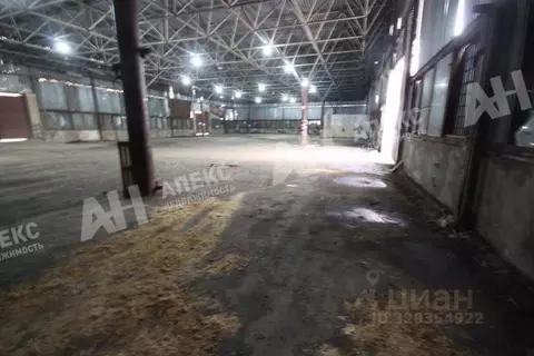 Склад в Московская область, Раменский муниципальный округ, д. ...