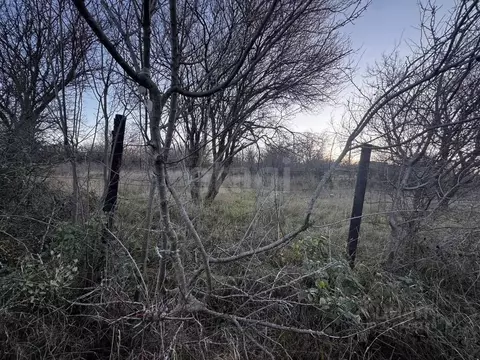 Участок в Ленинградская область, Тосненский район, Форносовское ...