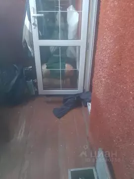 1-к кв. Московская область, Раменский муниципальный округ, Быково пгт ...