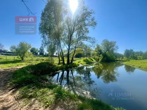 Участок в Рязанская область, Рыбновский муниципальный округ, д. ...