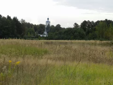 Участок в Московская область, Орехово-Зуевский городской округ, д. ...