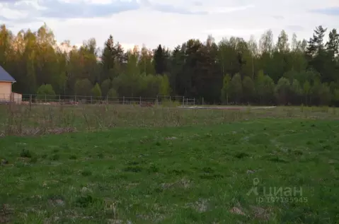 Участок в Новгородская область, Новгородский район, Савинское с/пос, ...