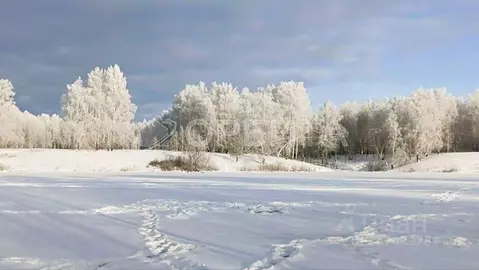 Участок в Тюменская область, Тюменский муниципальный округ, д. ...