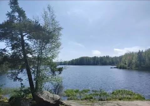 Участок в Ленинградская область, Выборгский район, Каменногорское ...