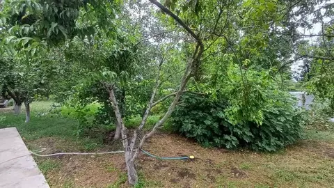 Участок в Краснодарский край, Динской район, Новотитаровская ст-ца ул. ...