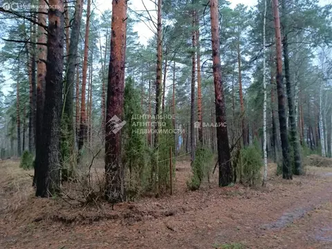 Участок в Рязанский муниципальный округ, садоводческое товарищество ...