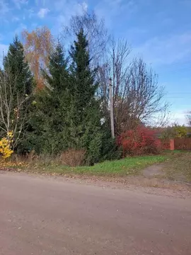 Продается участок в с. Ольгово