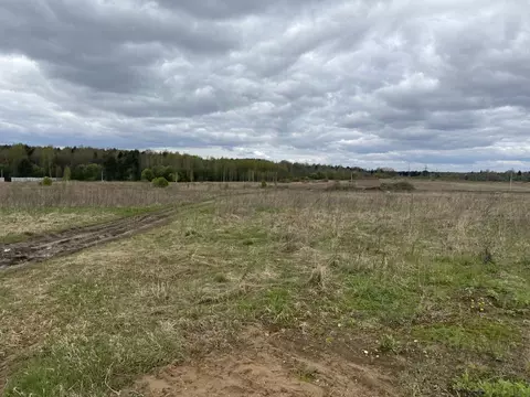 Участок в Ярославская область, Ярославский муниципальный округ, ...