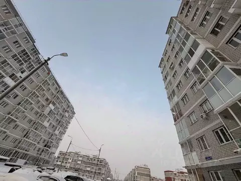 1-к кв. Тульская область, Тула Петровский квартал мкр, ул. Летчика ...