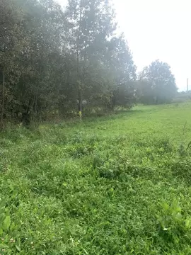 Участок в Калужская область, Перемышль с/пос, д. Хохловка  (15.0 сот.)