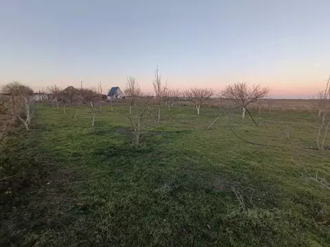 Участок в Крым, Ленинский район, с. Калиновка ул. Школьная (18.0 сот.)