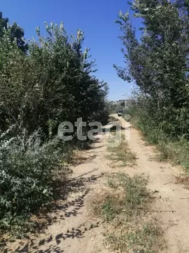 Участок в Калининградская область, Калининград Весна СНТ, проезд ...