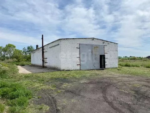 Помещение свободного назначения в Амурская область, с. Тамбовка ул. ...