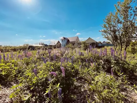 Участок в Башкортостан, Уфа Ромашка СНТ, 33 (8.0 сот.)