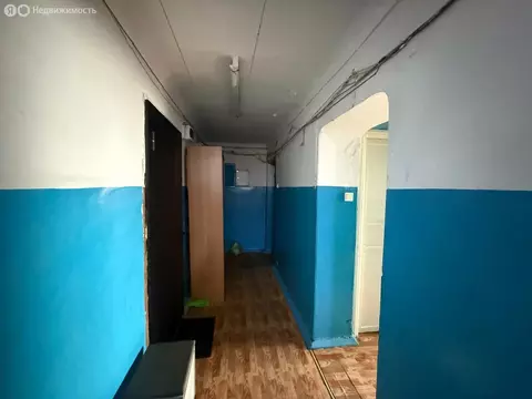 1к в 5-комнатной квартире (13.1 м)