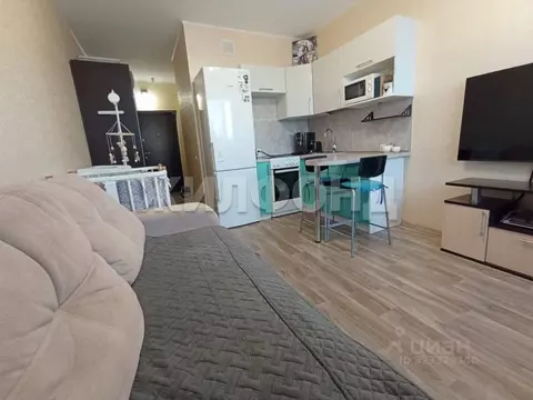 1-к кв. Новосибирская область, Новосибирск Беловежская ул., 4/1 (22.2 ...