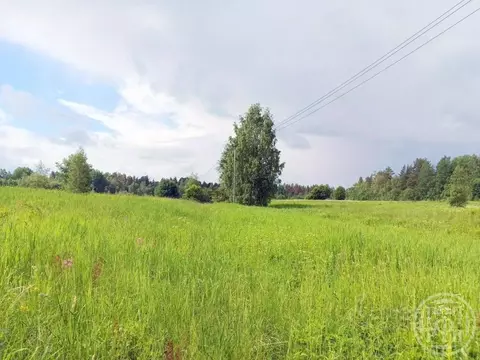 Участок в Ленинградская область, Выборгский район, Красносельское ...