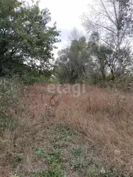 Участок в Белгородская область, Корочанский район, Афанасовское с/пос, ...