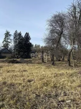 Участок в Брянская область, Брянский район, Добрунское с/пос, д. ...