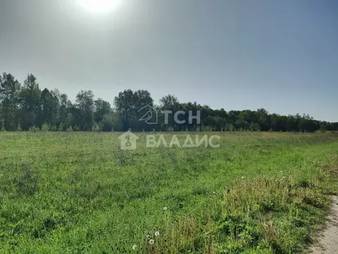 Участок в Владимирская область, Киржачский район, Кипревское ...