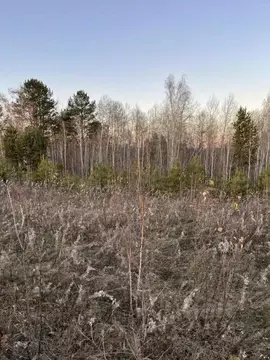 Участок в Иркутская область, Иркутский муниципальный округ, с. ...