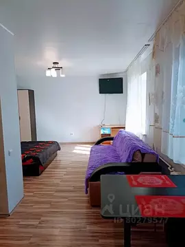 Студия Башкортостан, Уфа ул. Менделеева, 128к1 (40.0 м)