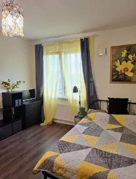 Студия Санкт-Петербург просп. Большевиков, 68к1 (21.0 м)