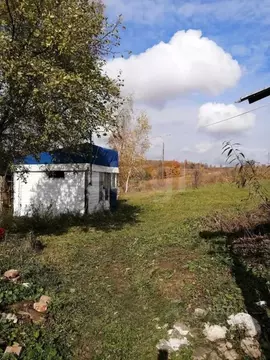 Участок в Тульская область, Щекинский район, Крапивенское с/пос, с. ...