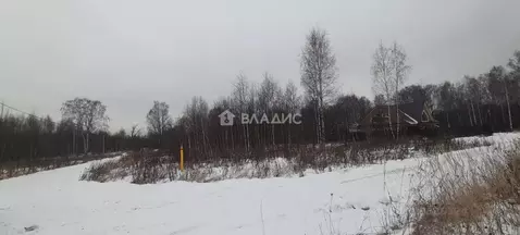 Участок в Владимирская область, Петушинское муниципальное образование, ...